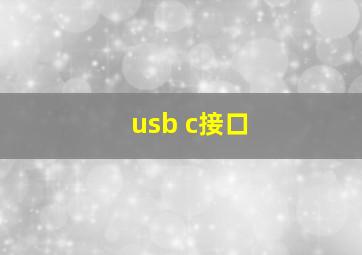 usb c接口